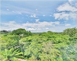 Nassim Regency (D10), Condominium #610151771